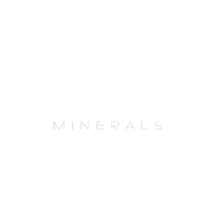 px4 impact logo