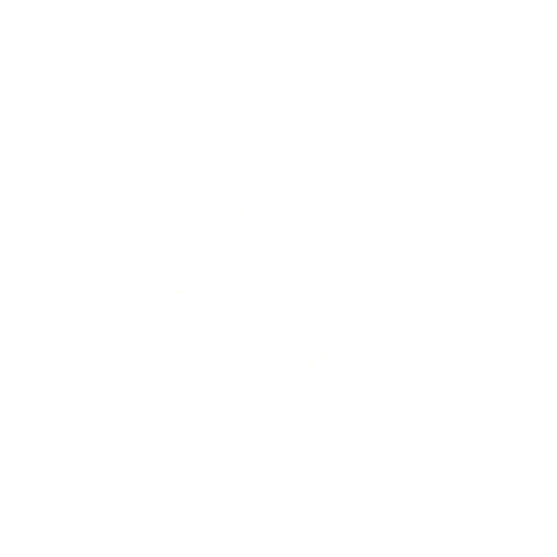 px4-savannah-logo.png