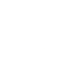 px4 savannah logo
