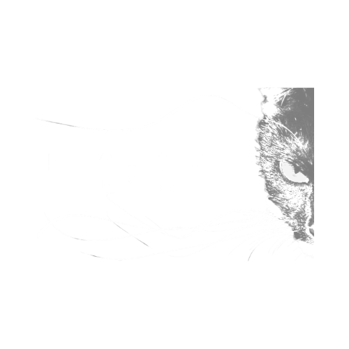 Black Cat Syndicate Logo